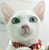 รูปประจำตัวสมาชิก