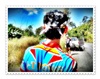 รูปประจำตัวสมาชิก
