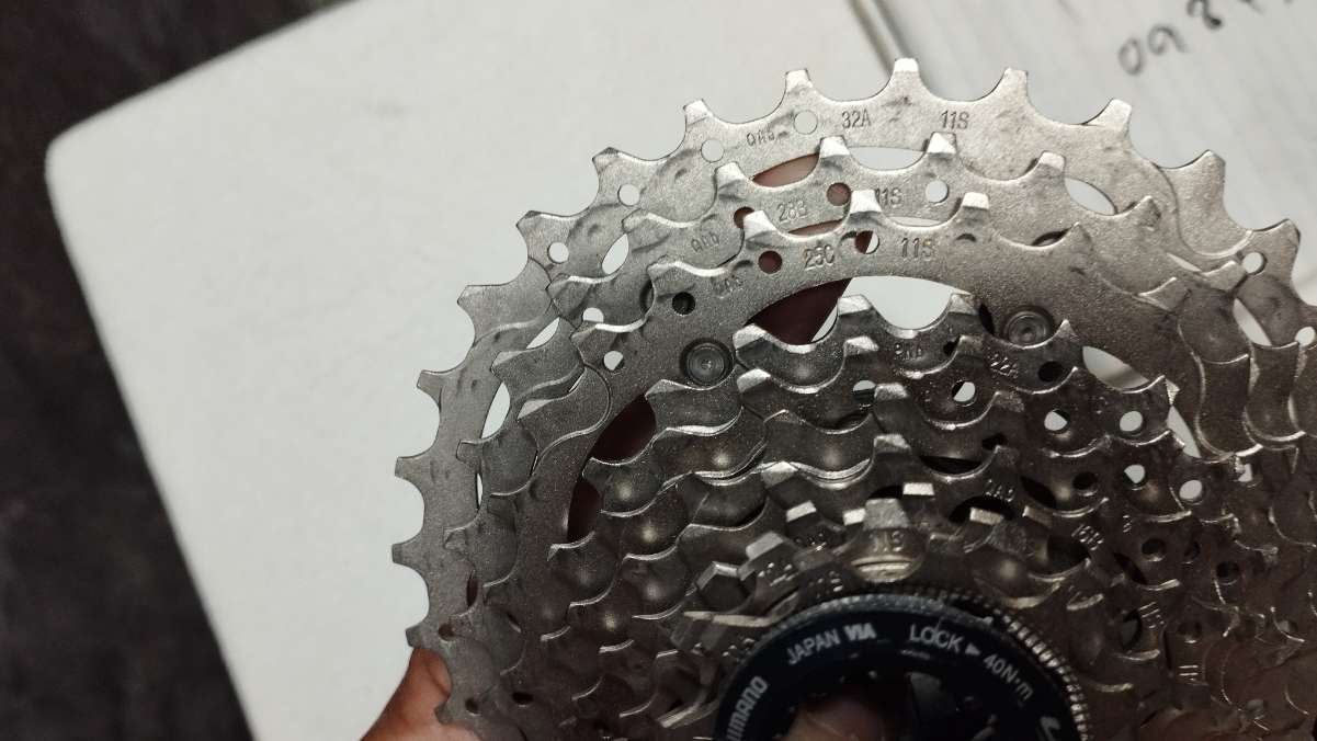 IMG_20241015_150144.jpg