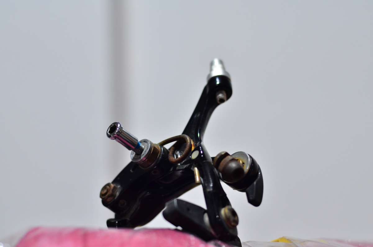 DSC_3939.JPG