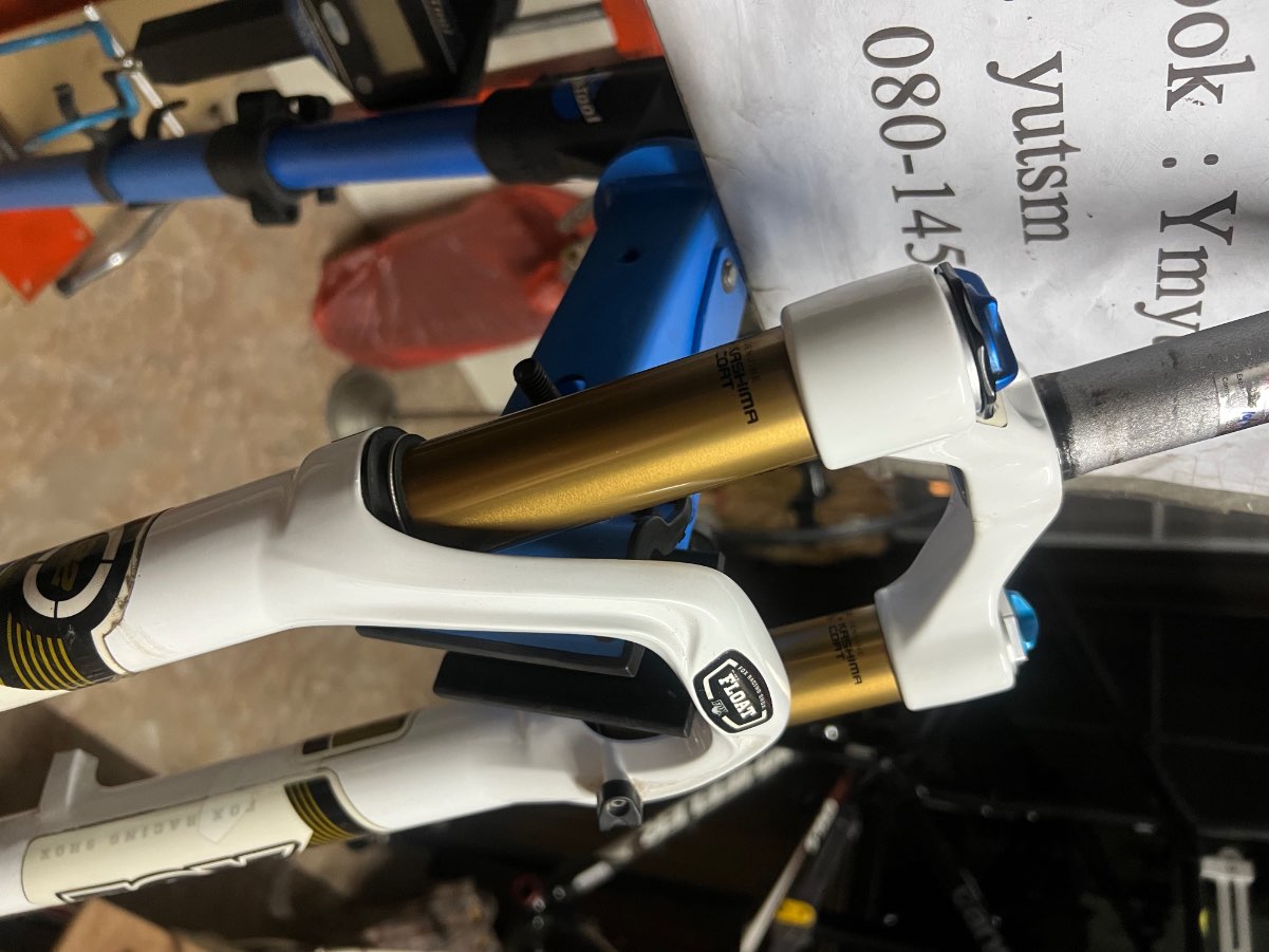 IMG_2423.jpeg