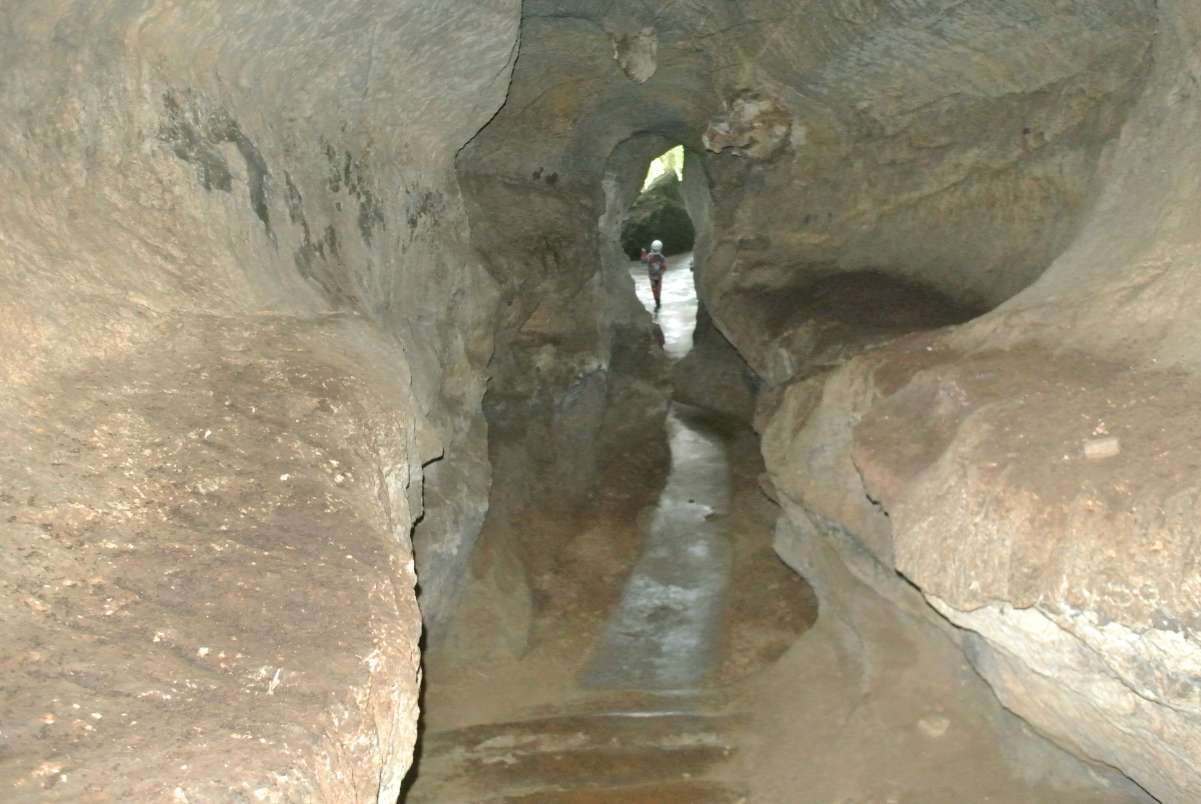 DSC_2453.JPG