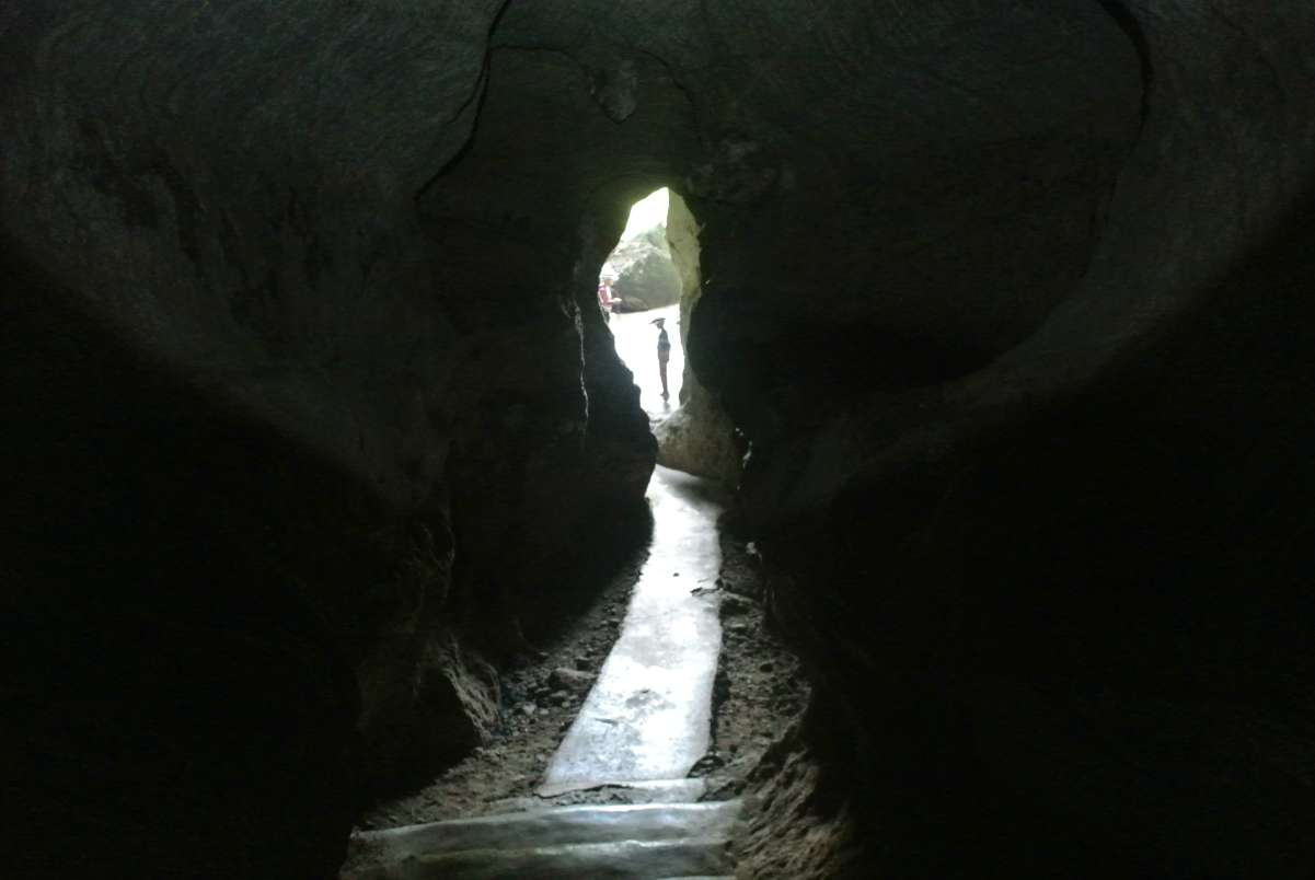 DSC_2454.JPG