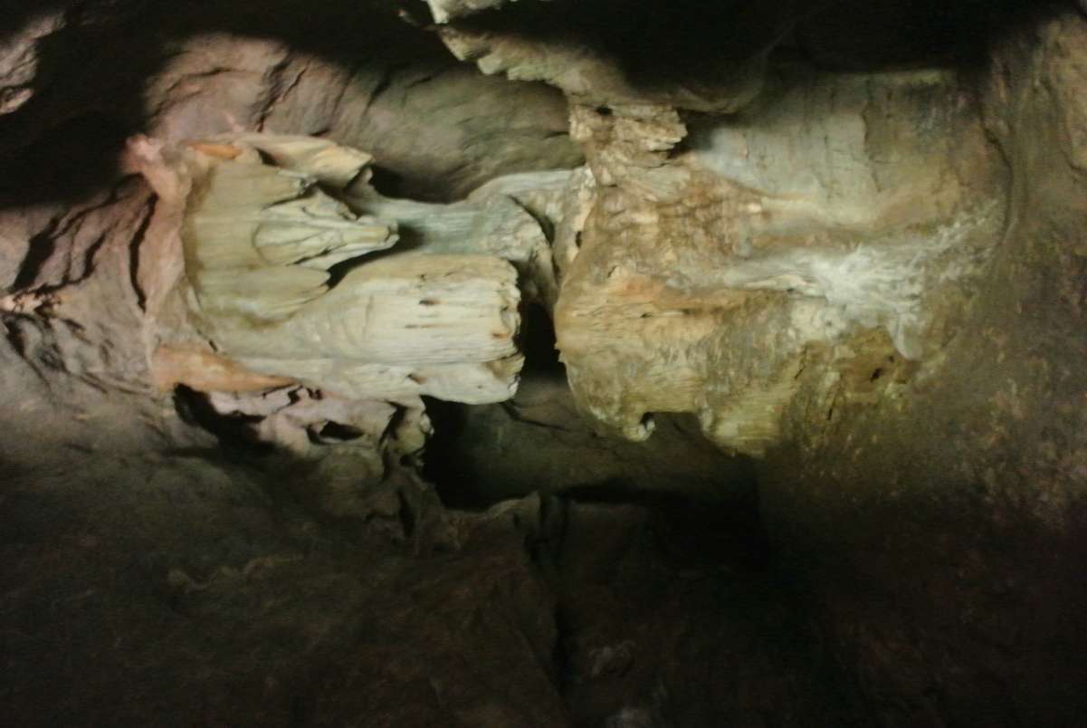 DSC_2464.JPG