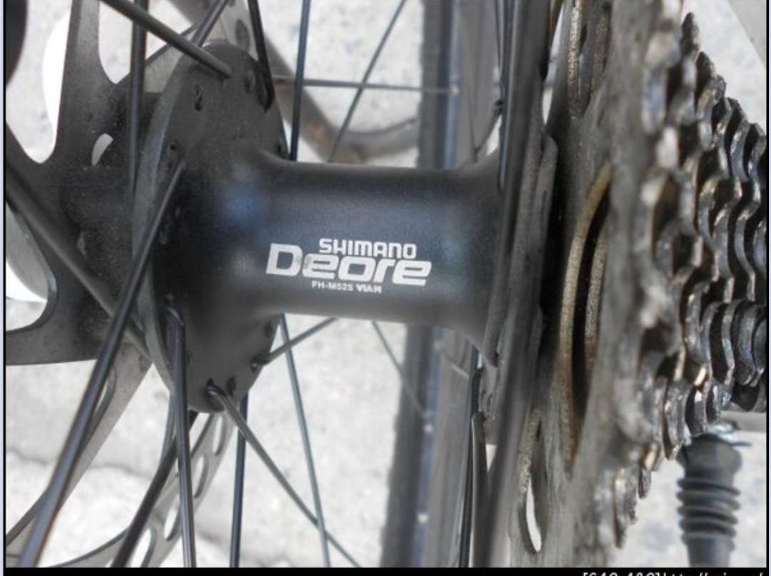 Screenshot_20250208-165107_Chrome Dev.jpg