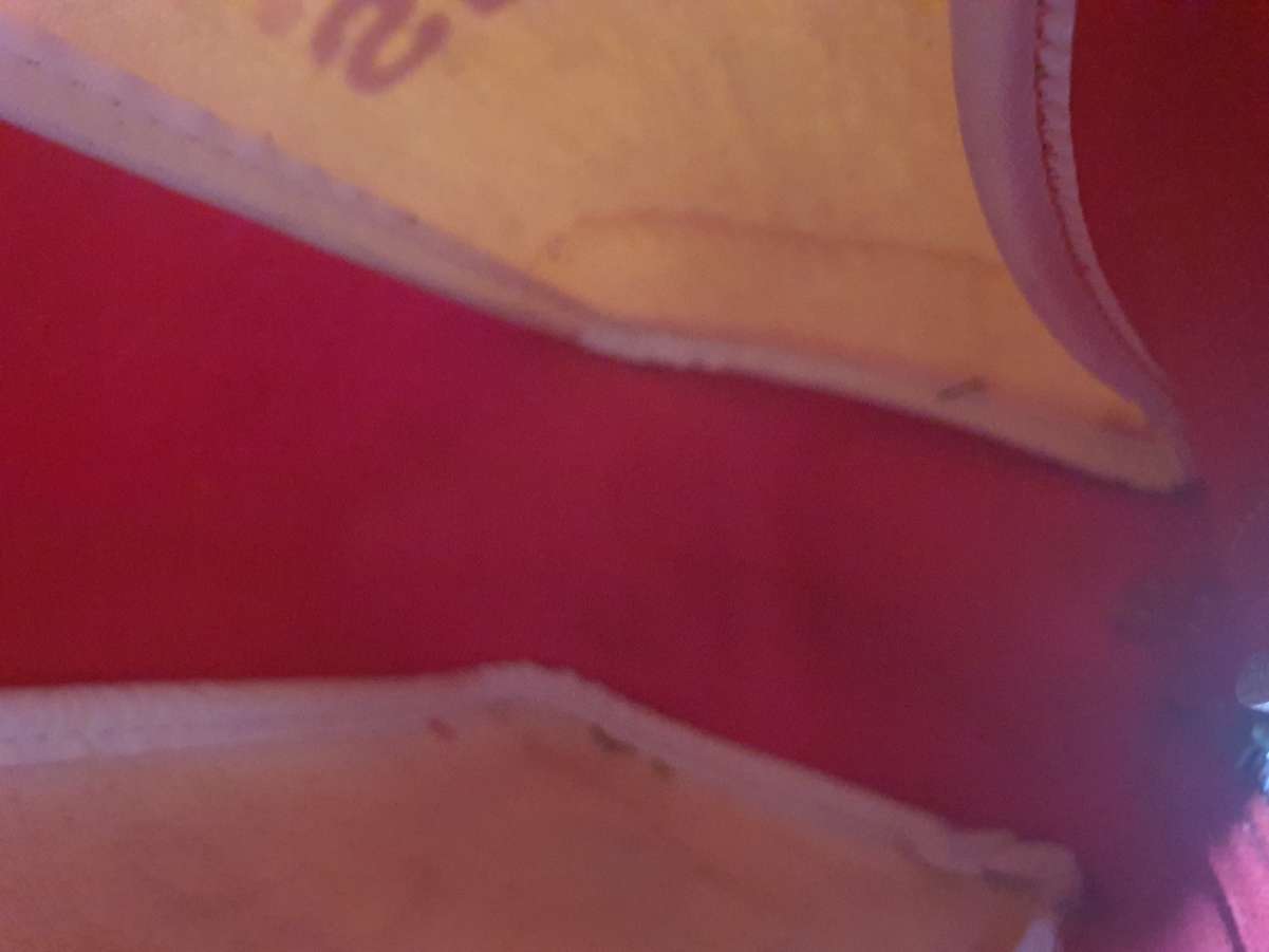 20250710_130354.jpg