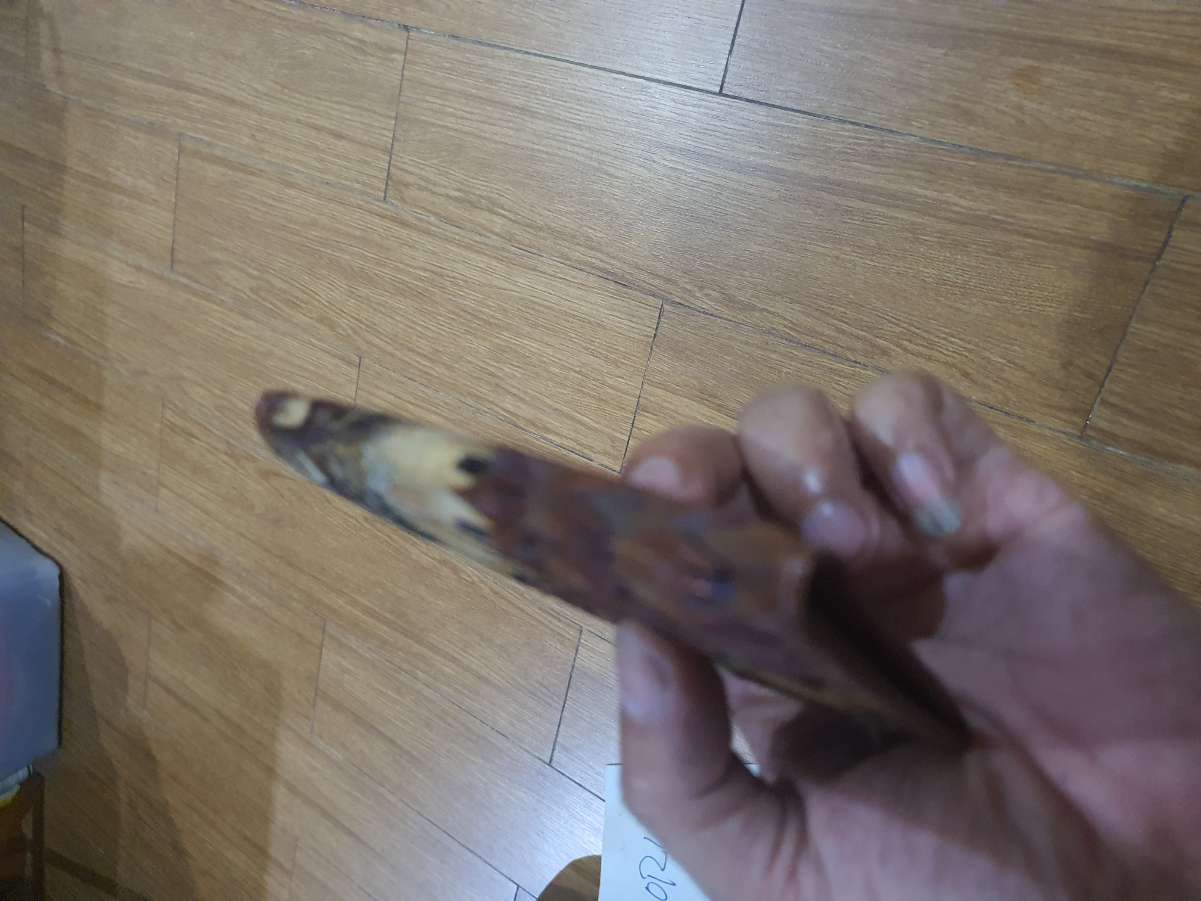 20250716_000051.jpg