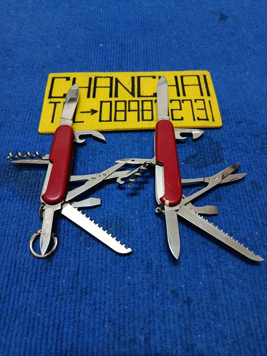 IMG_20250809_130005.jpg