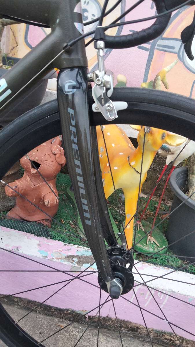 IMG20251025173008.jpg