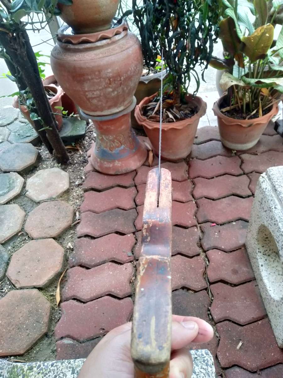 IMG20251031072615.jpg