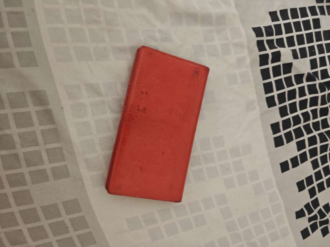 1000008423.jpg