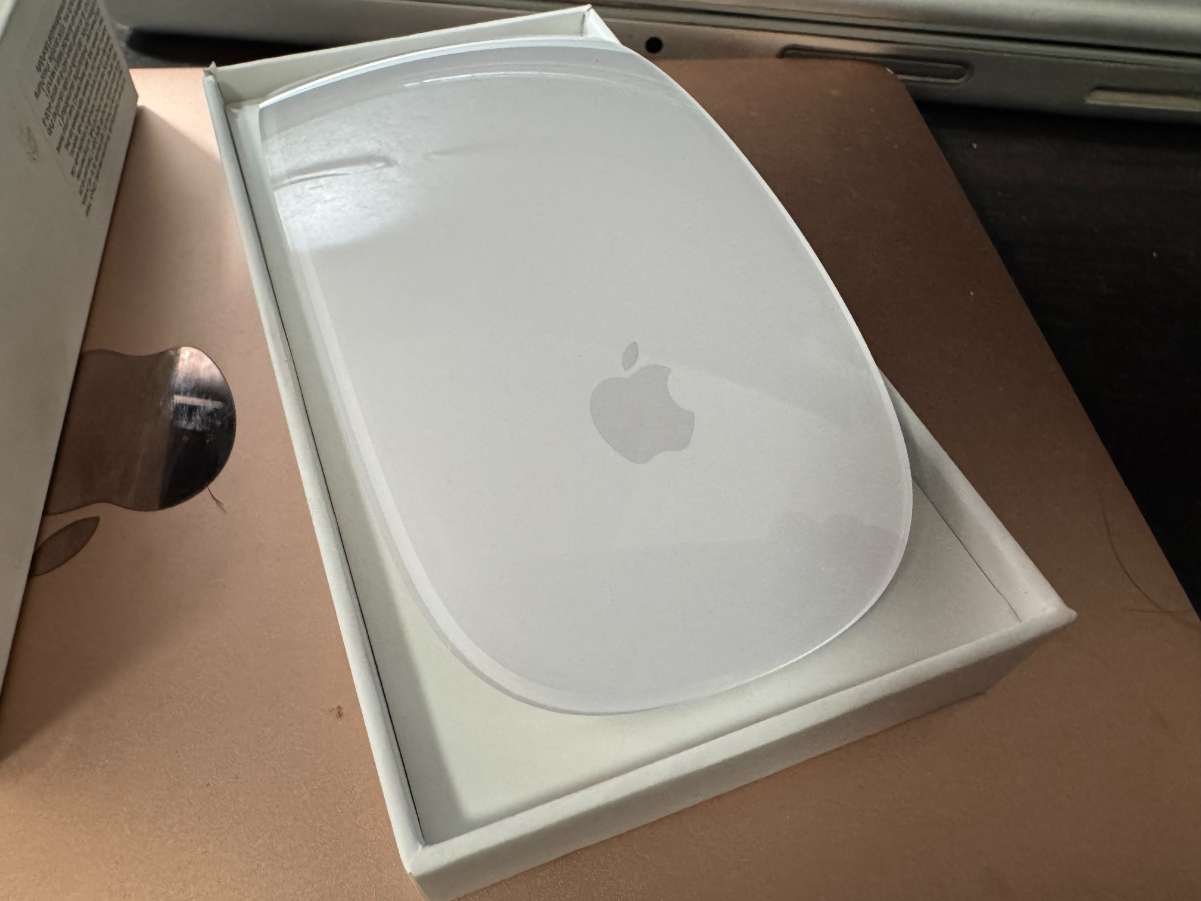 Magic Mouse4.jpeg