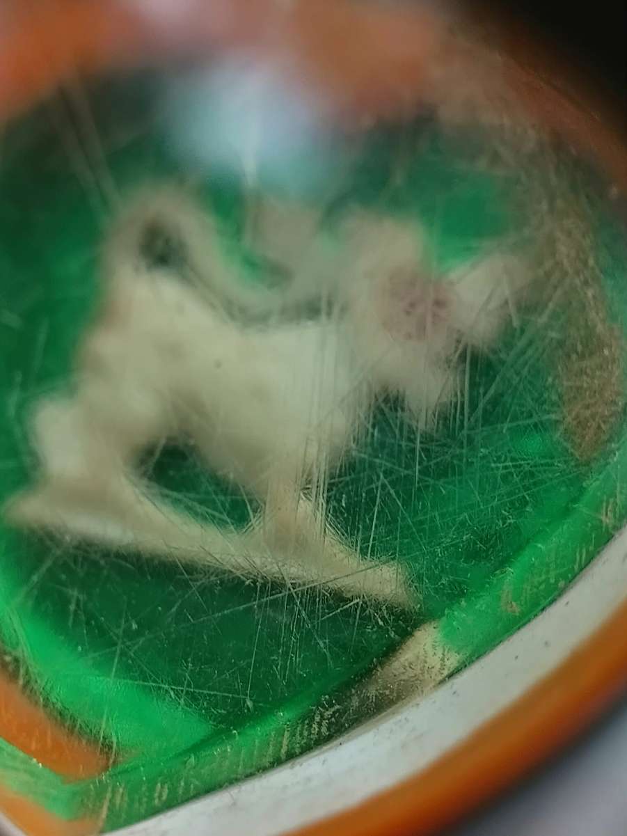 received_1530199428244947.jpeg