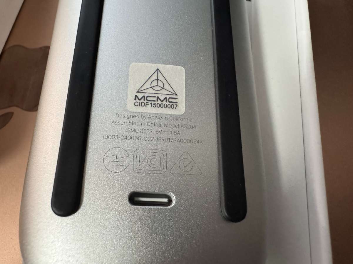 Magic Mouse5.jpeg
