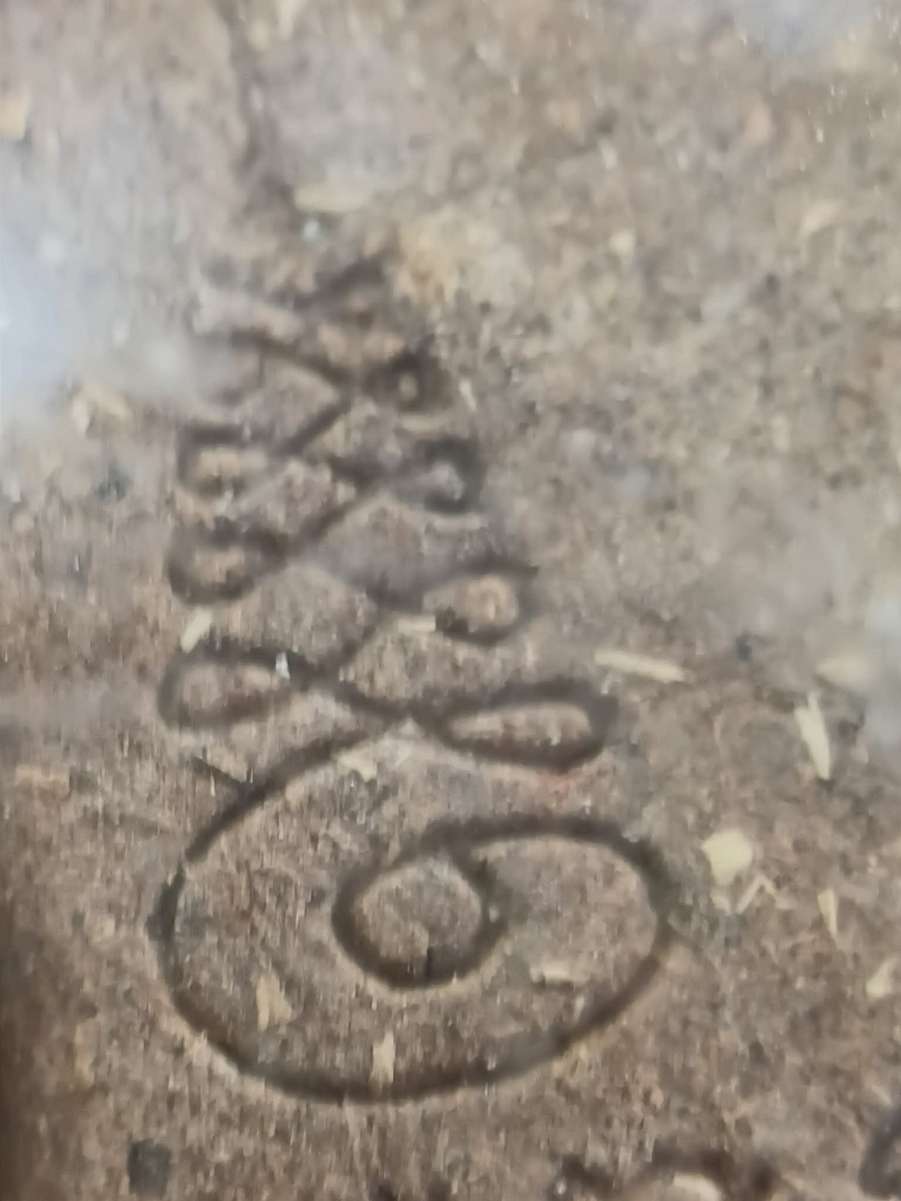 received_2499074490551486.jpeg