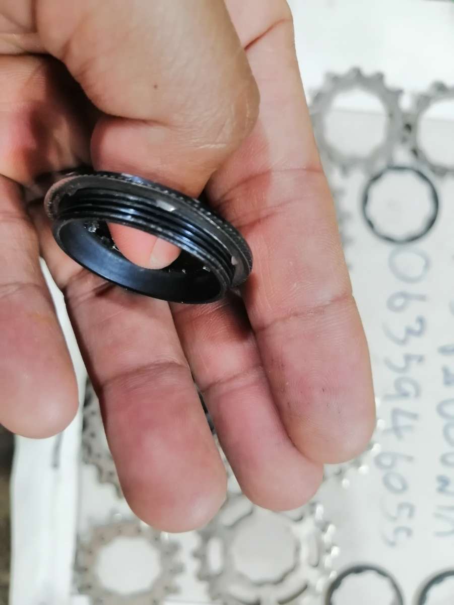 IMG_20260526_150016.jpg