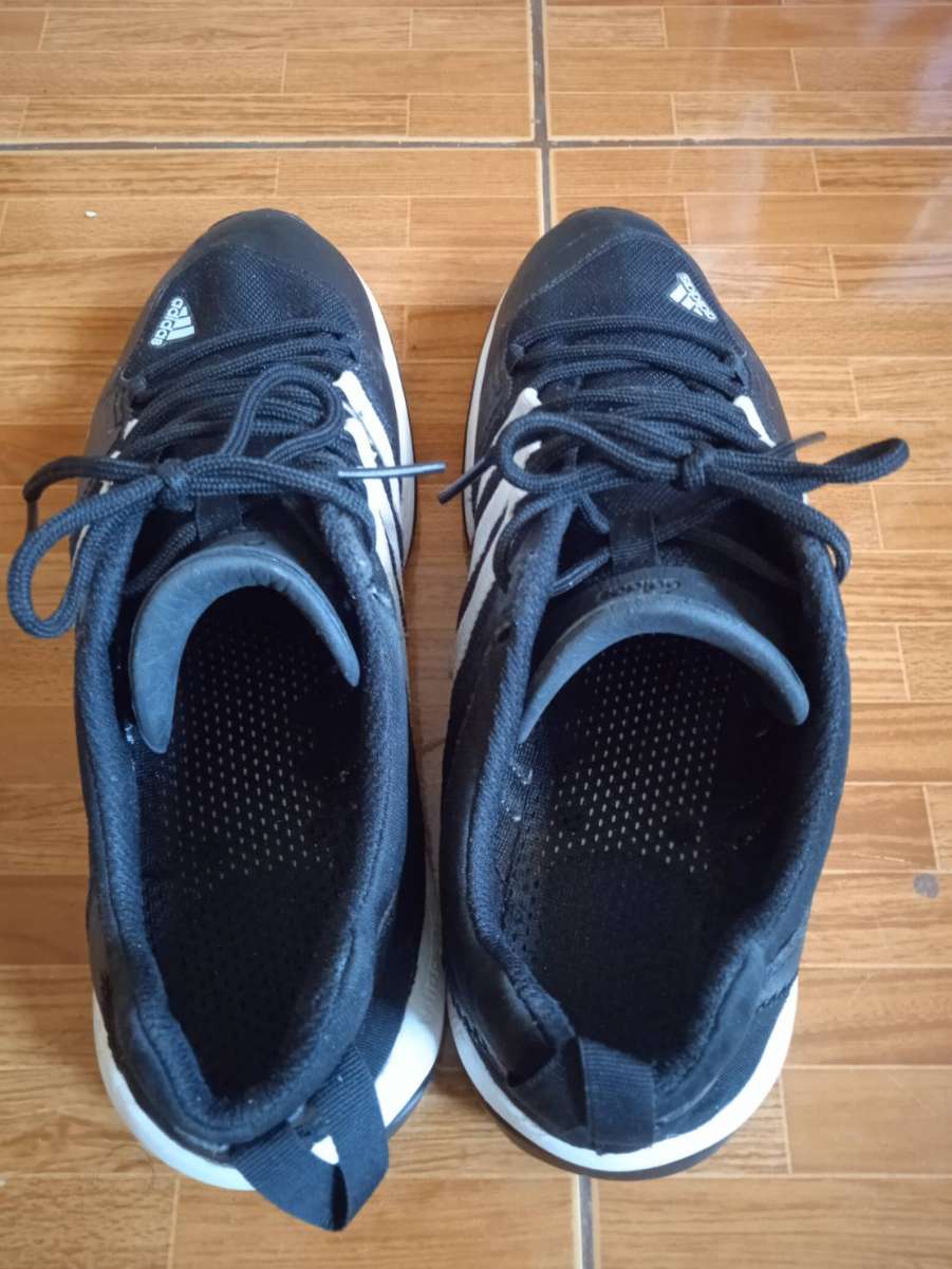 36731.jpg