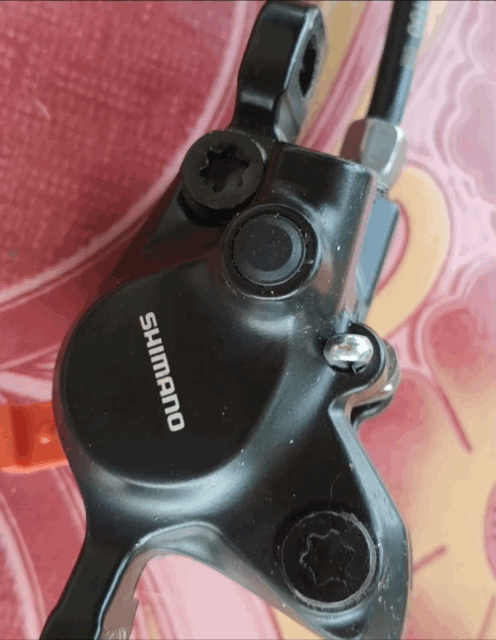 GIF_20260810_160438.gif