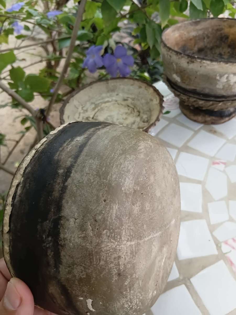 received_2243149923140408.jpeg