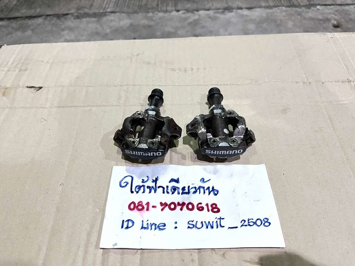 808323836_4412237132351876_1859799754815610738_n.jpg