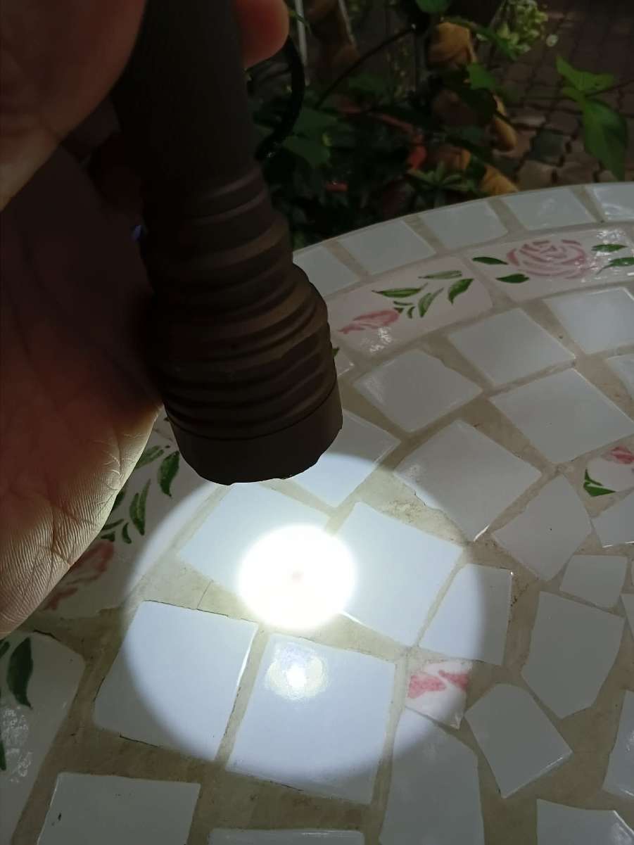 received_1773145777252363.jpeg
