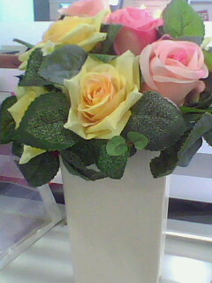 IMG0030A.jpg