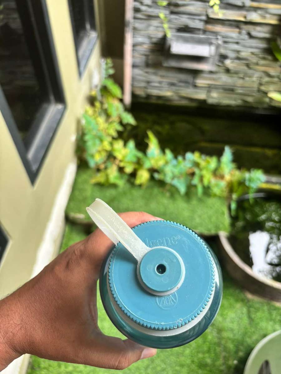 57.jpg