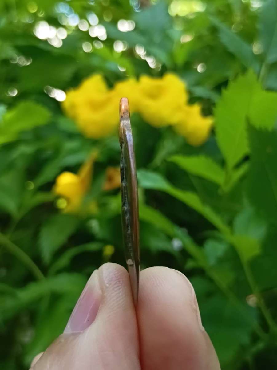 1790818093543.jpg
