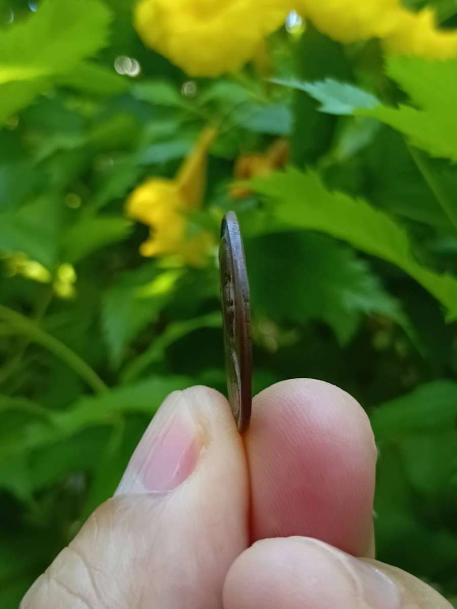 1790818081526.jpg