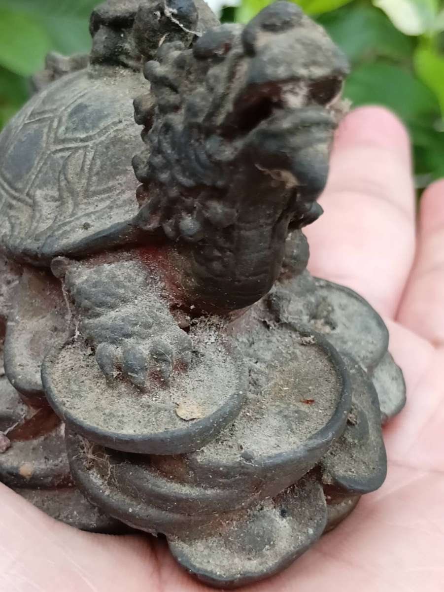 1791071880115.jpg