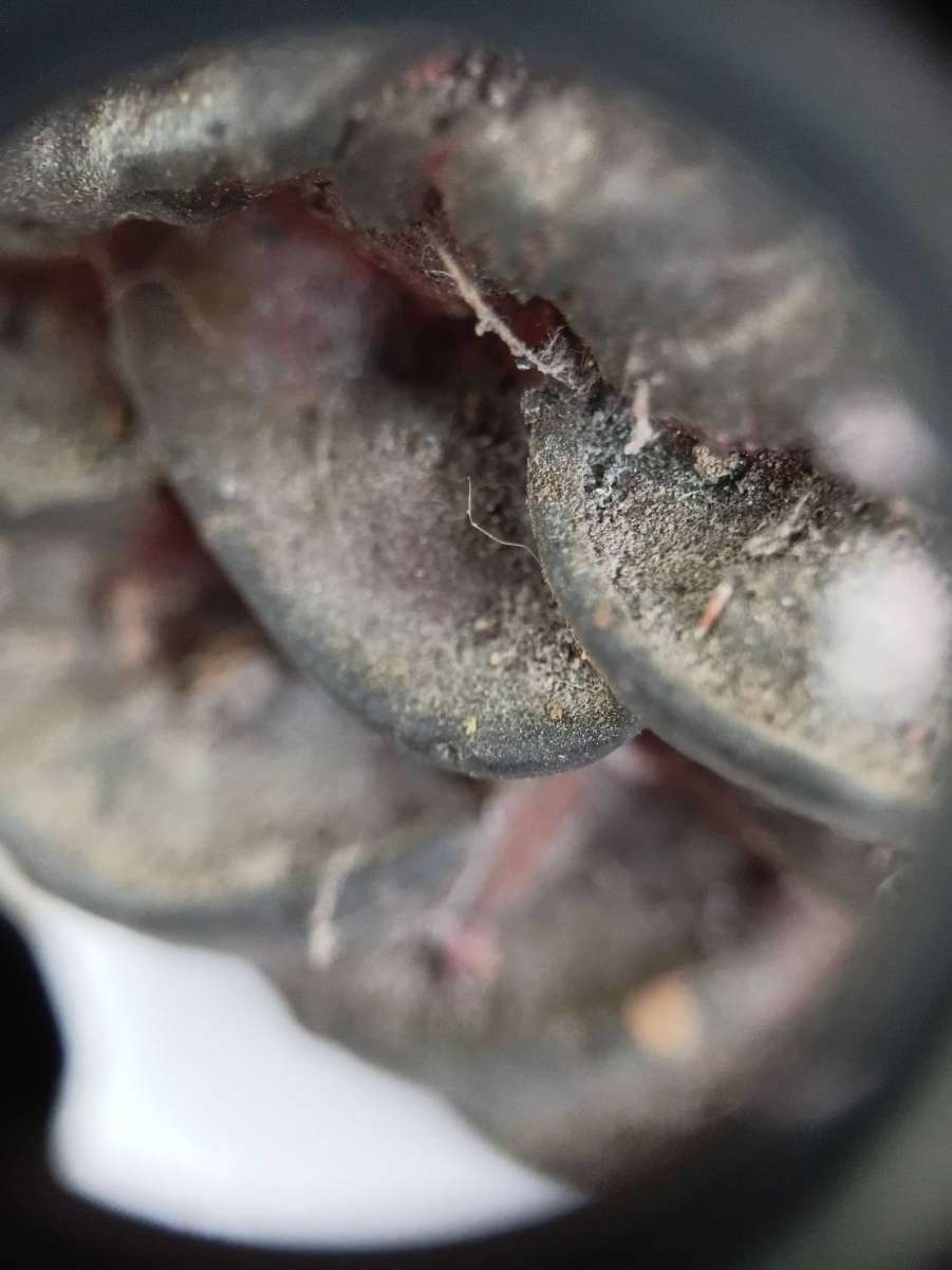 1791071867547.jpg