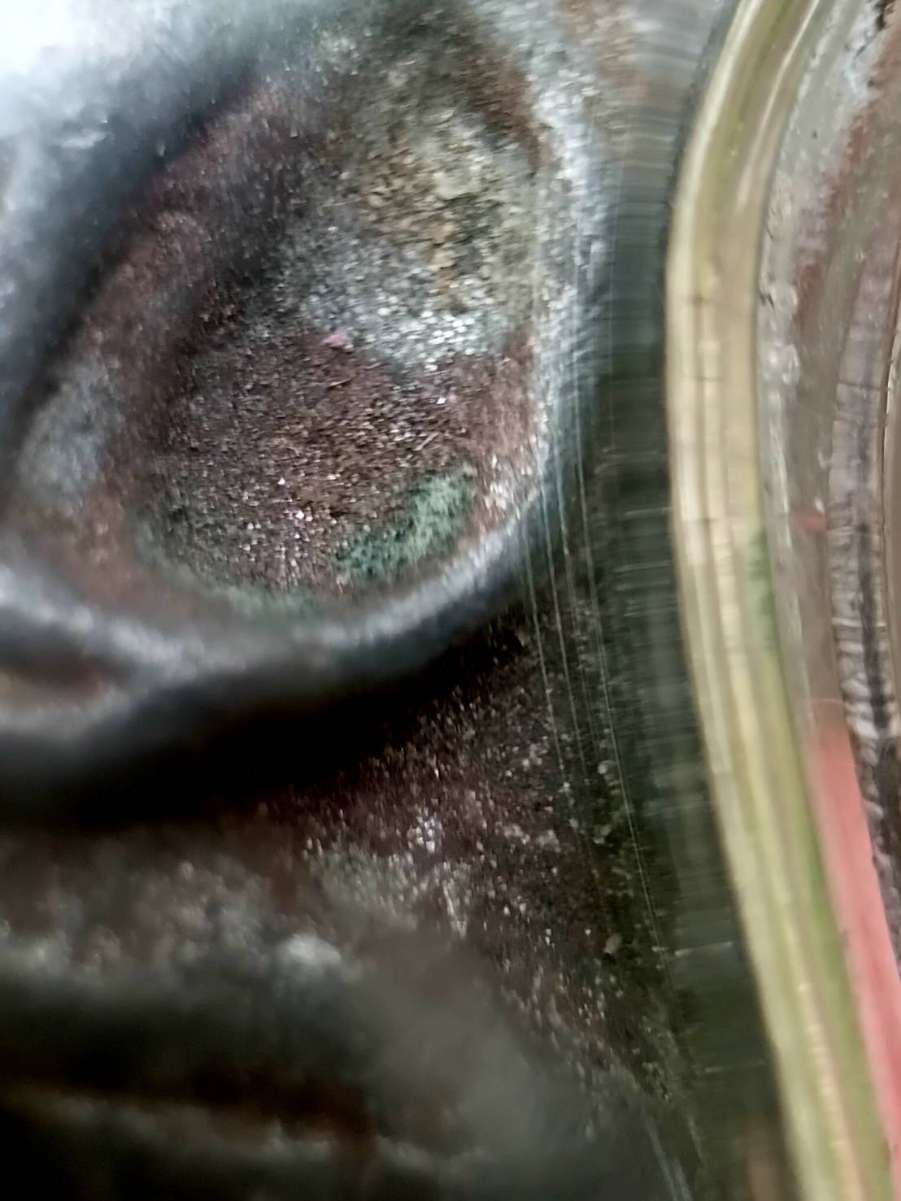 1791188223726.jpg