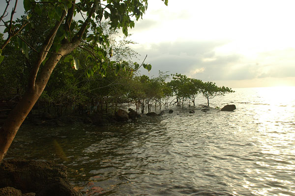DSC_0830.jpg