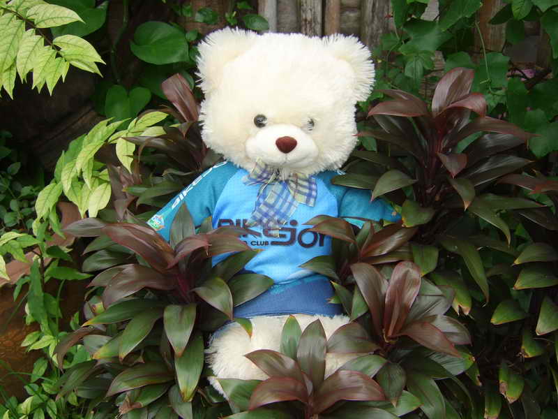 DSCF5860.JPG