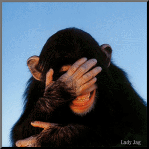 20100227122217_knghfpl.gif