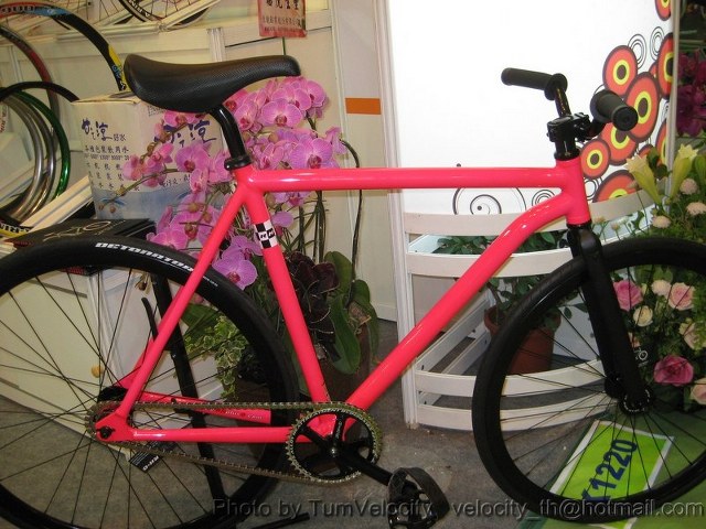 IMG_7458_800x600_640x480.JPG
