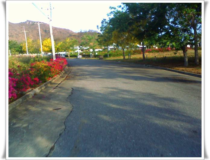 04-18-10-072310.jpg