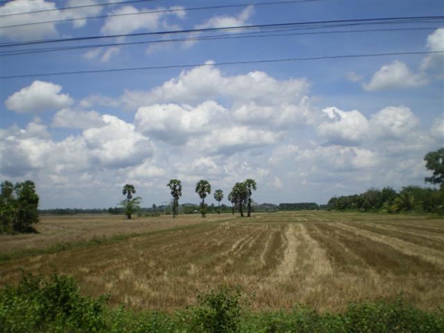 IMGP1381 (Small).JPG