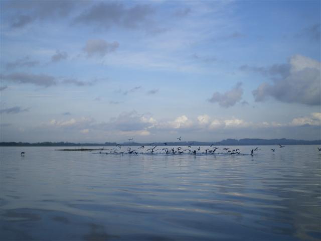 IMGP1508 (Small).JPG