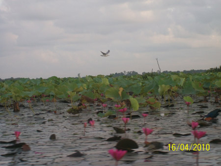 100_1417.jpg
