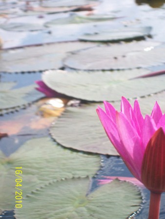 100_1517.jpg