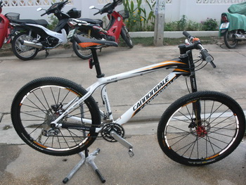 P1120807_resize.JPG