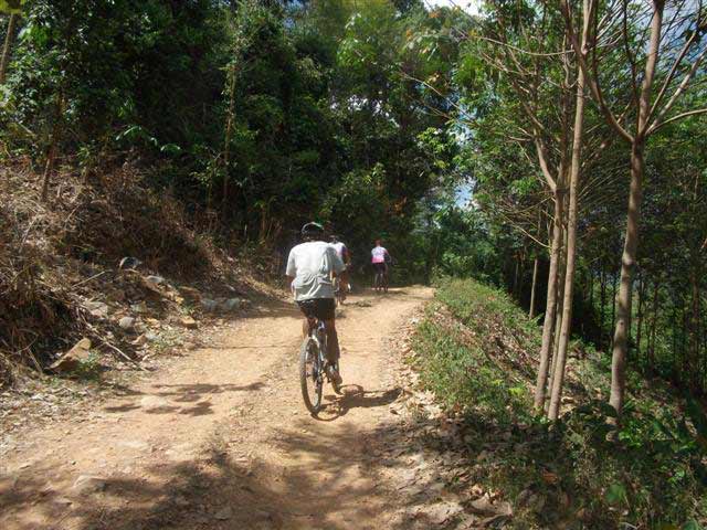 DSCF2164-(Small)-(Small).jpg