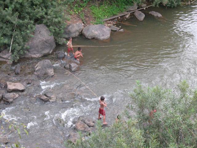 pic396.JPG