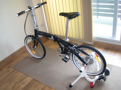 Dahon_002.jpg