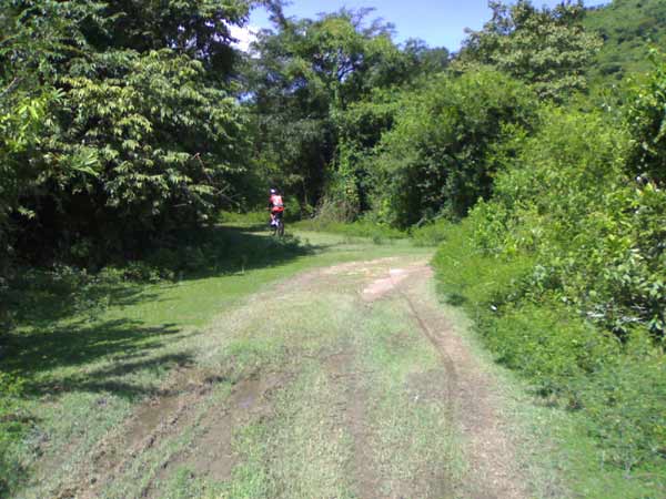 n34.jpg