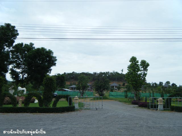 O12.jpg