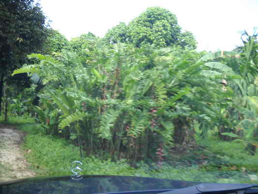 DSCN2347.JPG