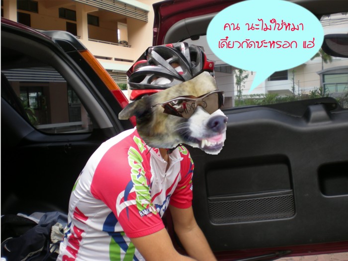 111.jpg