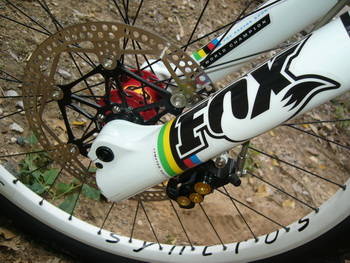 P1030555_resize.JPG